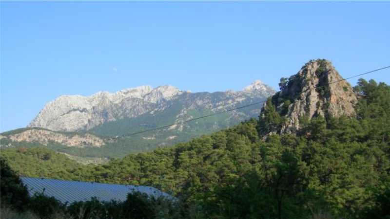 Yanıbaşınızda doğayla baş başa; ÇAKIRLAR